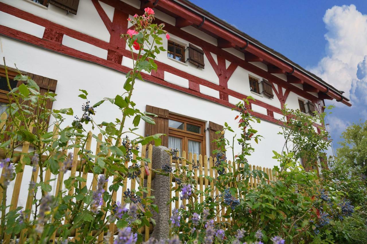 Jurahaus Hirschberg Apartment Beilngries Ngoại thất bức ảnh